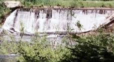 La chute Shepard 